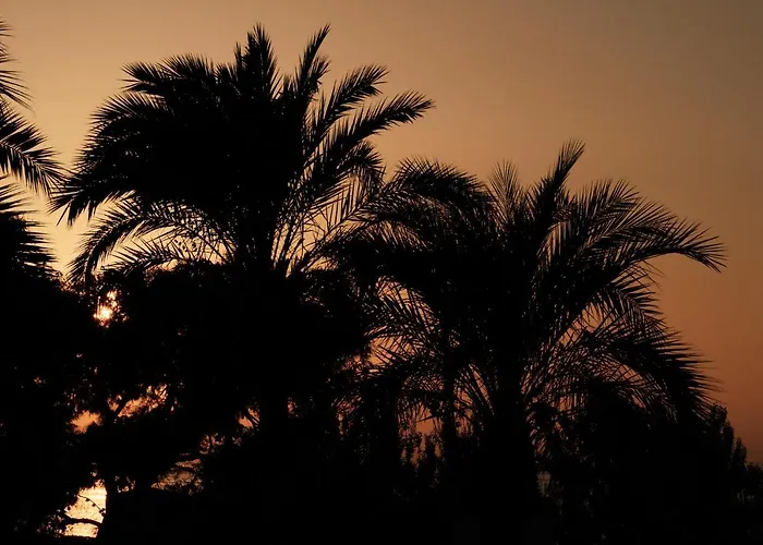 Prinsotel La Caleta Aparthotel Ciutadella (Menorca)