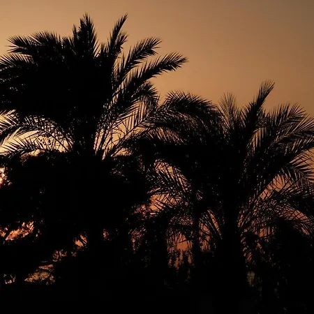 Prinsotel La Caleta アパートホテル シウタデリャ